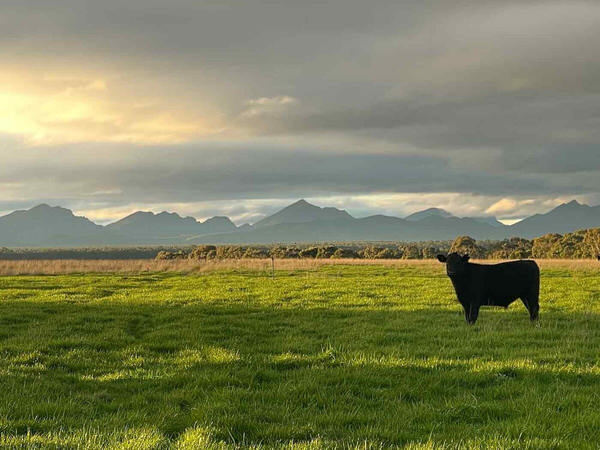 Farming Breeding