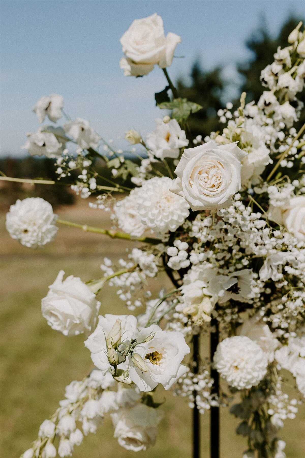 white flowers