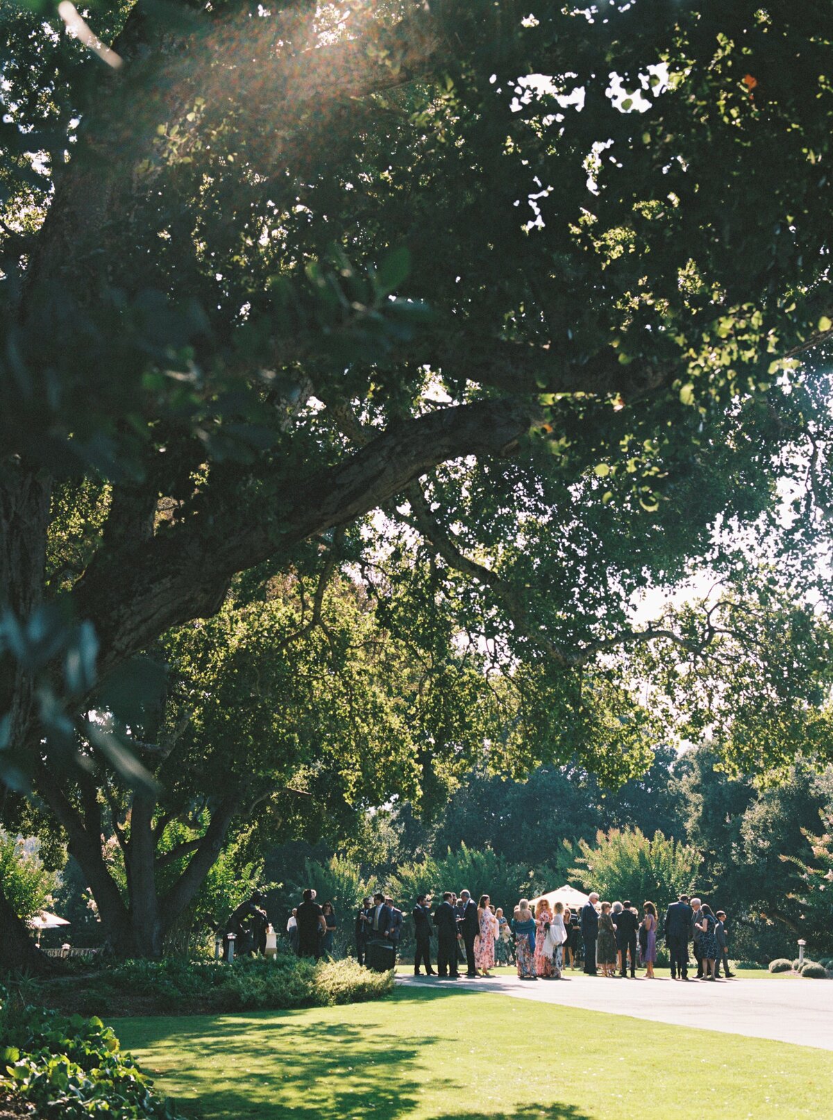 holman ranch wedding