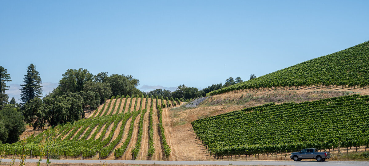 sonoma-6