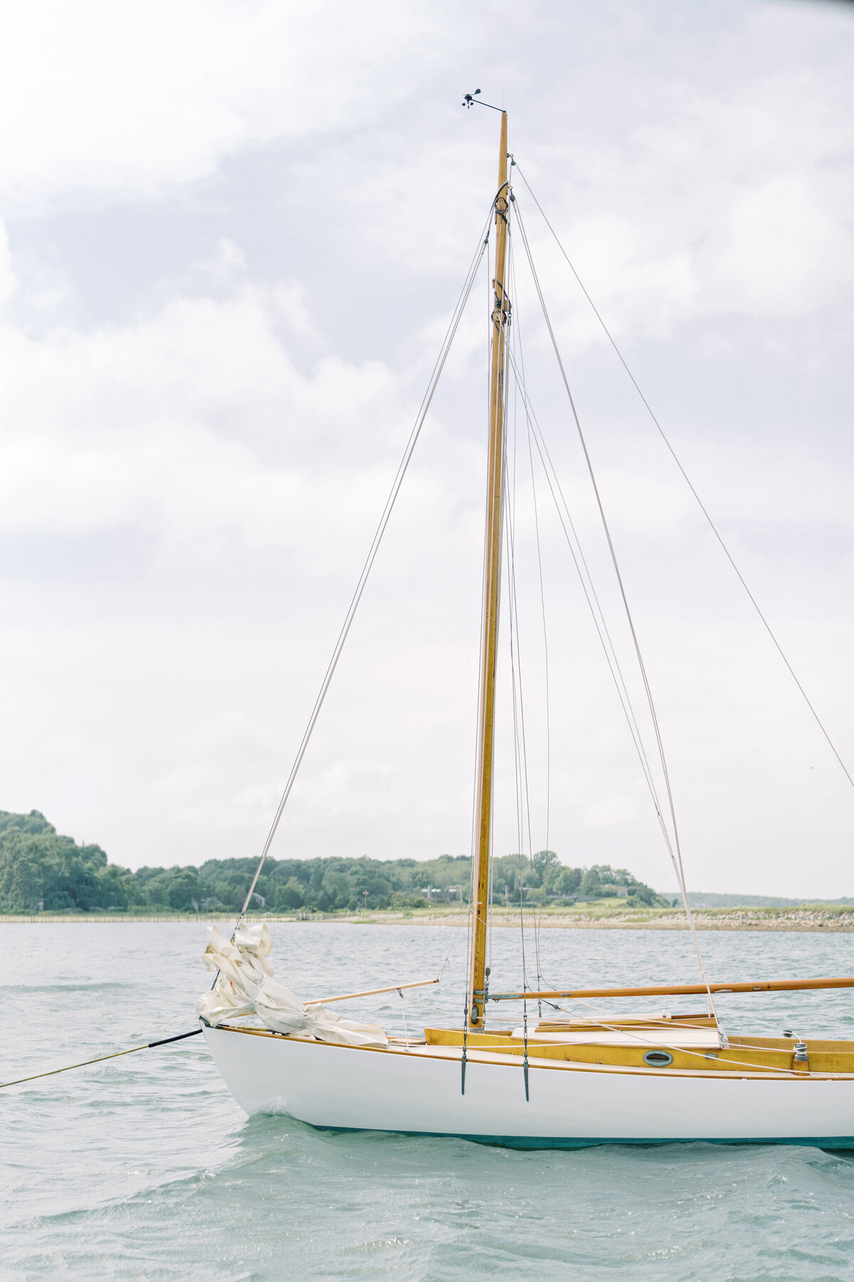 briana & dan wedding 0608_1