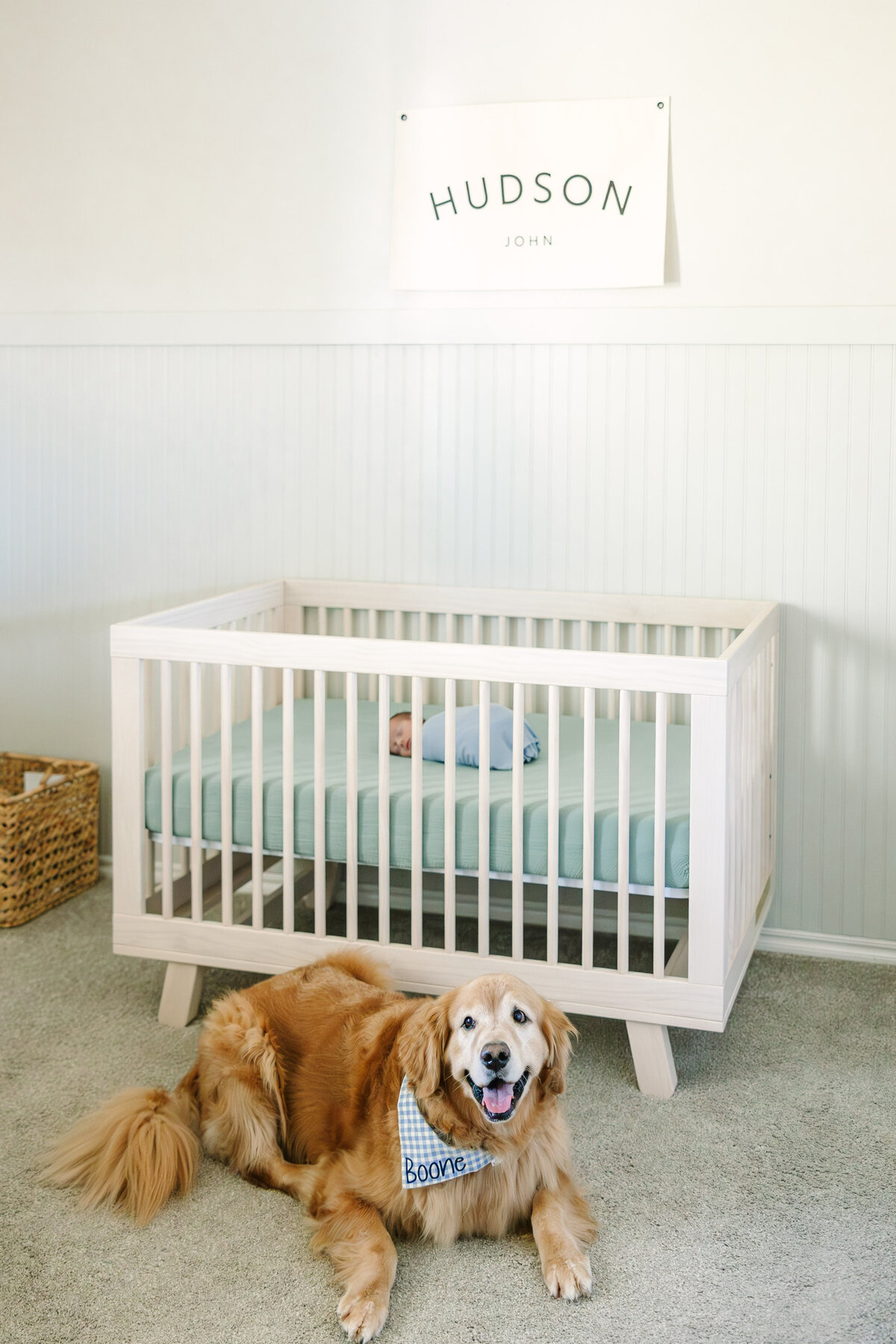 Hemans Newborn - Hudson-72
