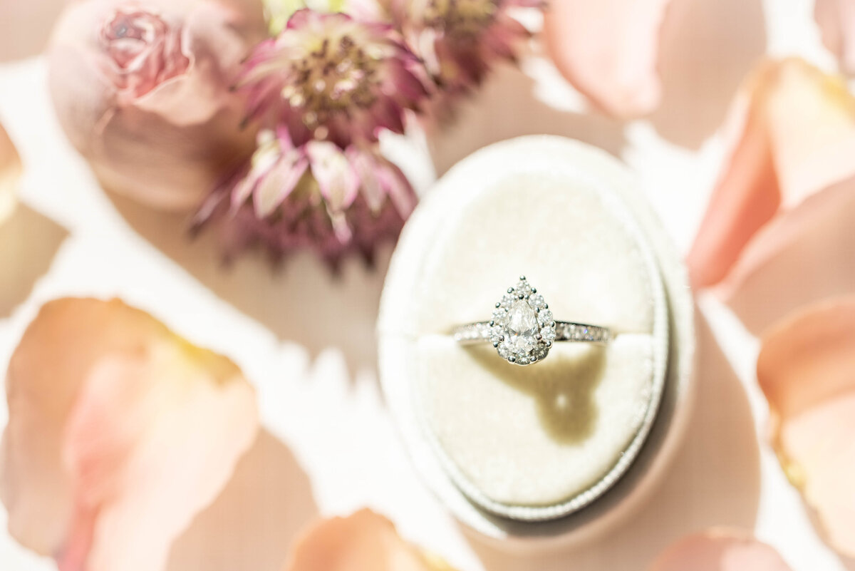 ringshot-1