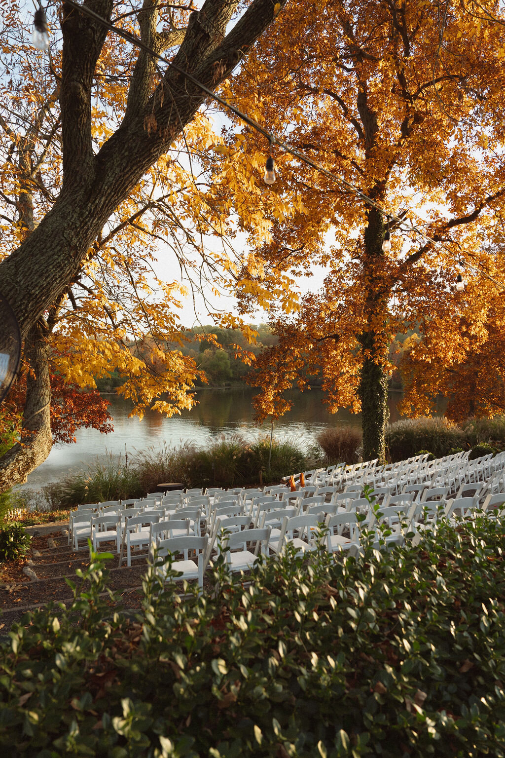 Intimate Wedding and Elopement Photographer4