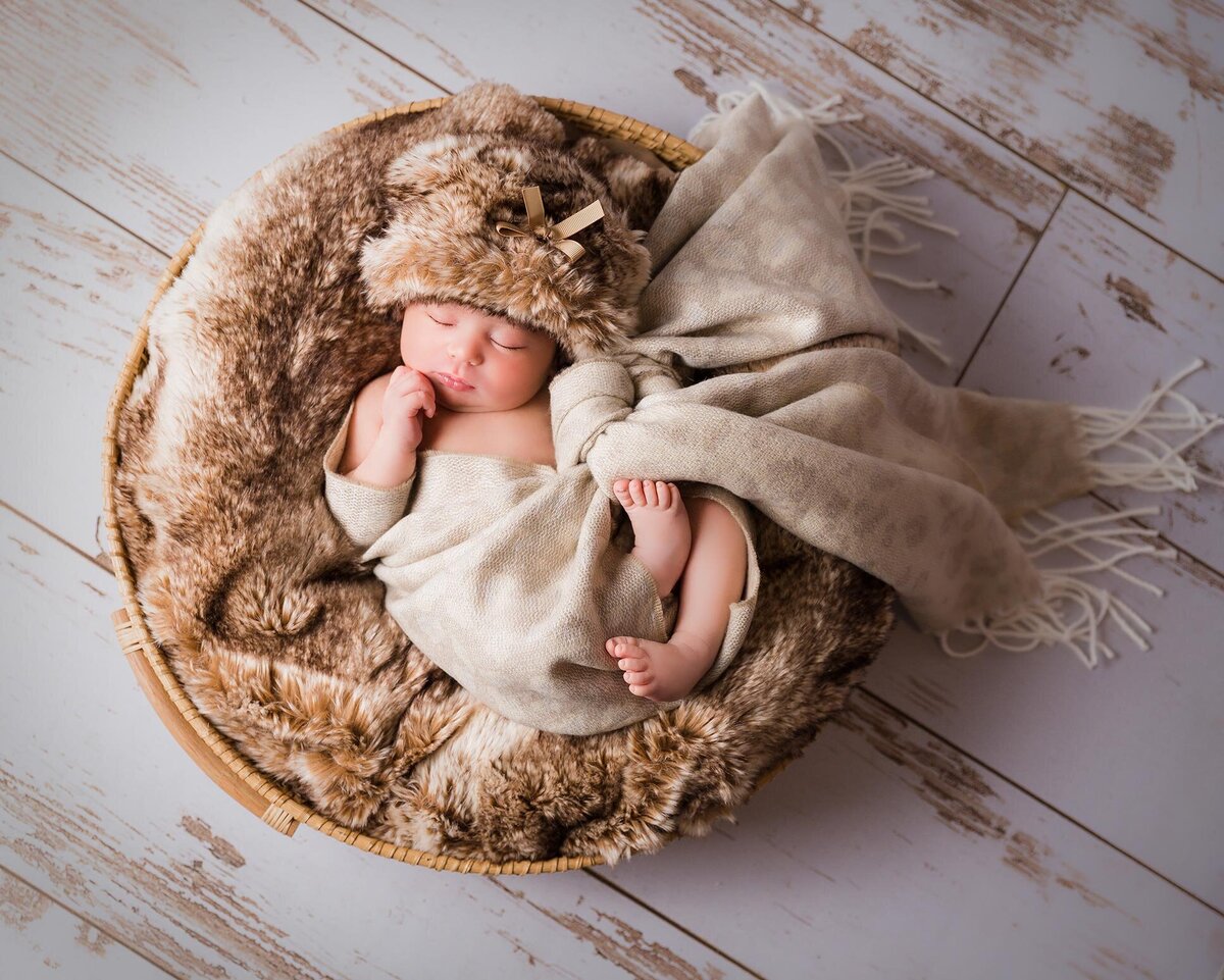 Tally Safdie photography newborn photo baby in neutral shades winter