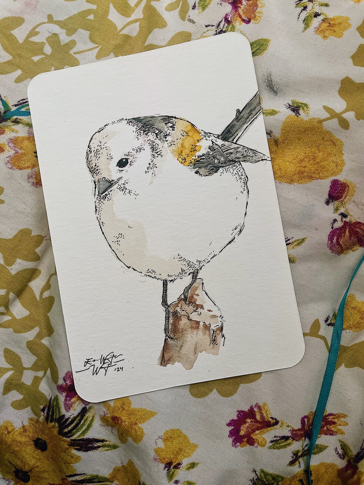 Custom Pet Portraits | Esmé Weijun Wang