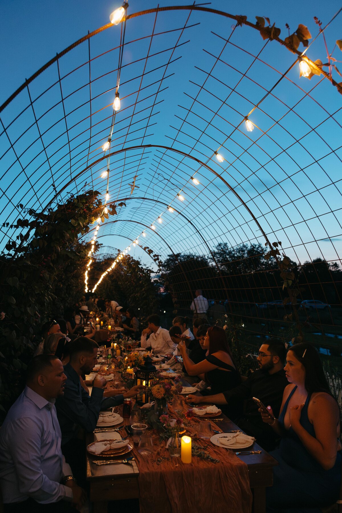 pennsylvania-wedding-photographerIMG_3141
