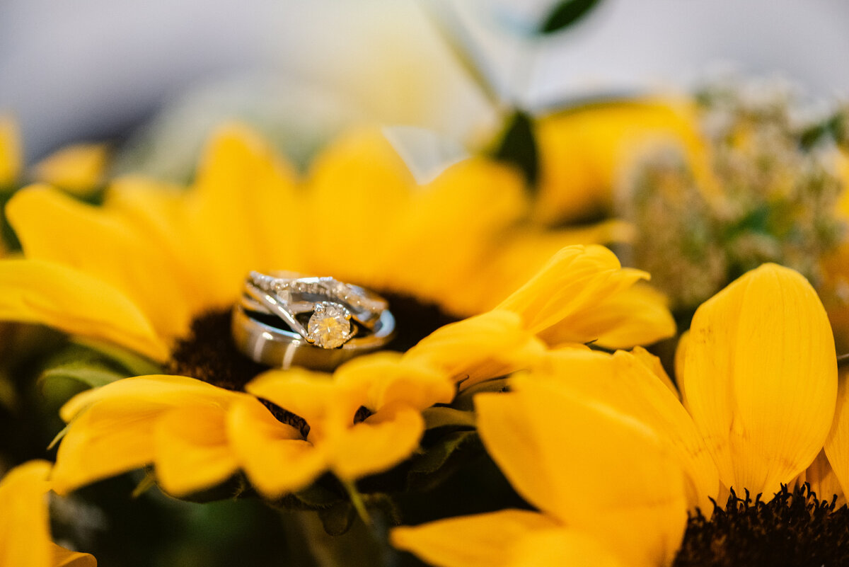 5449-Engagement Photography Nicole Hollenkamp St Cloud MN Central MN