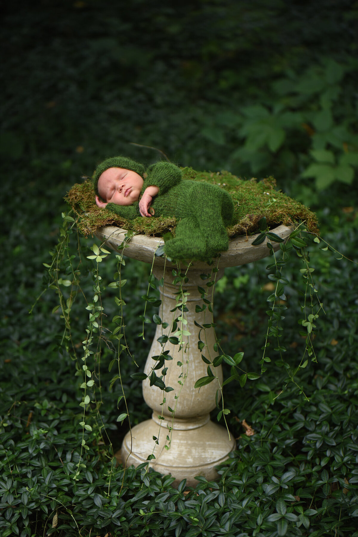 Newborn gently placed in a hanging vine nest surrounded by lush greenery, captured in Overland Park, Kansas. A whimsical choice for families seeking unique and nature-inspired newborn photography