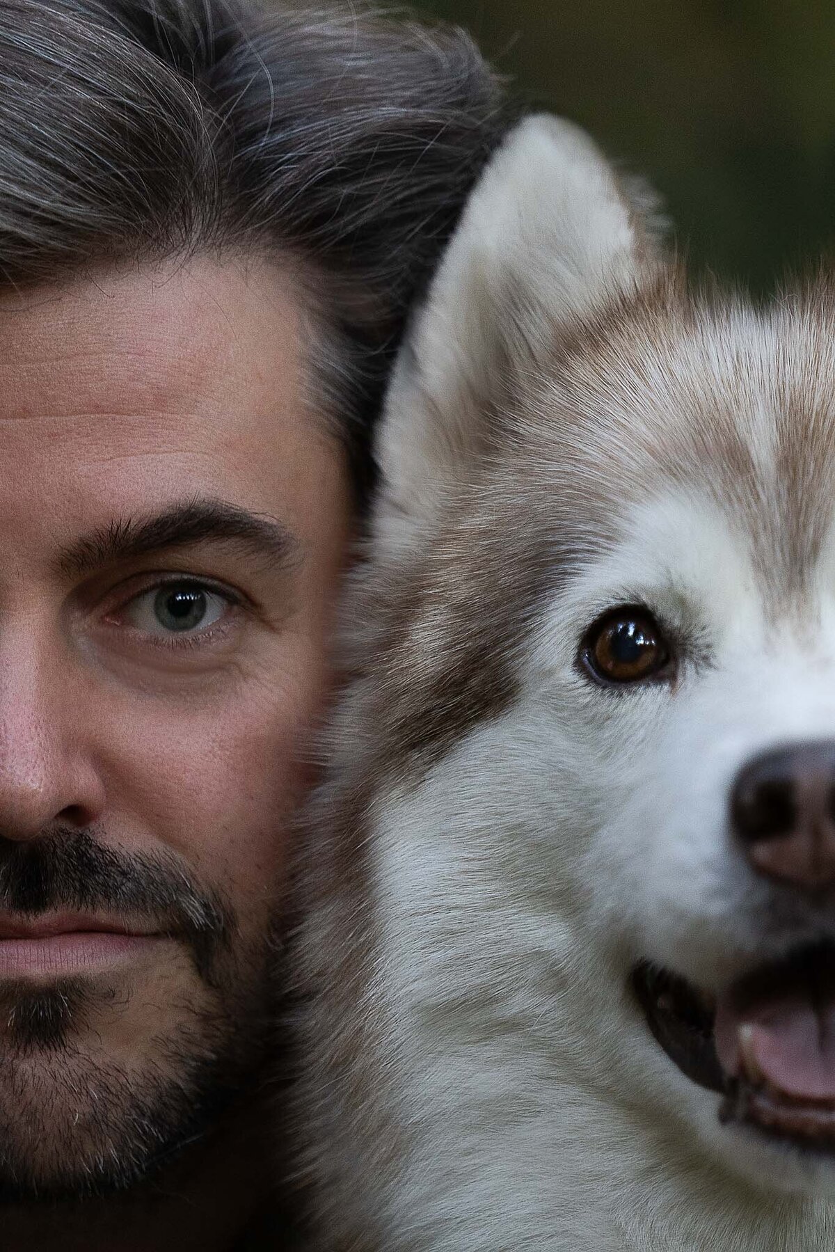 Hondenportret-Limburg-30