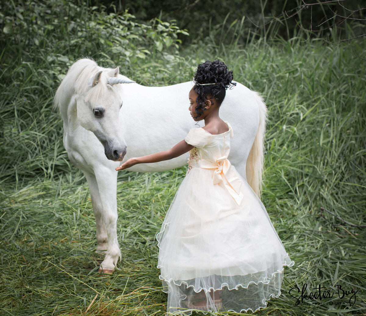 Feeding  unicorn Seattle