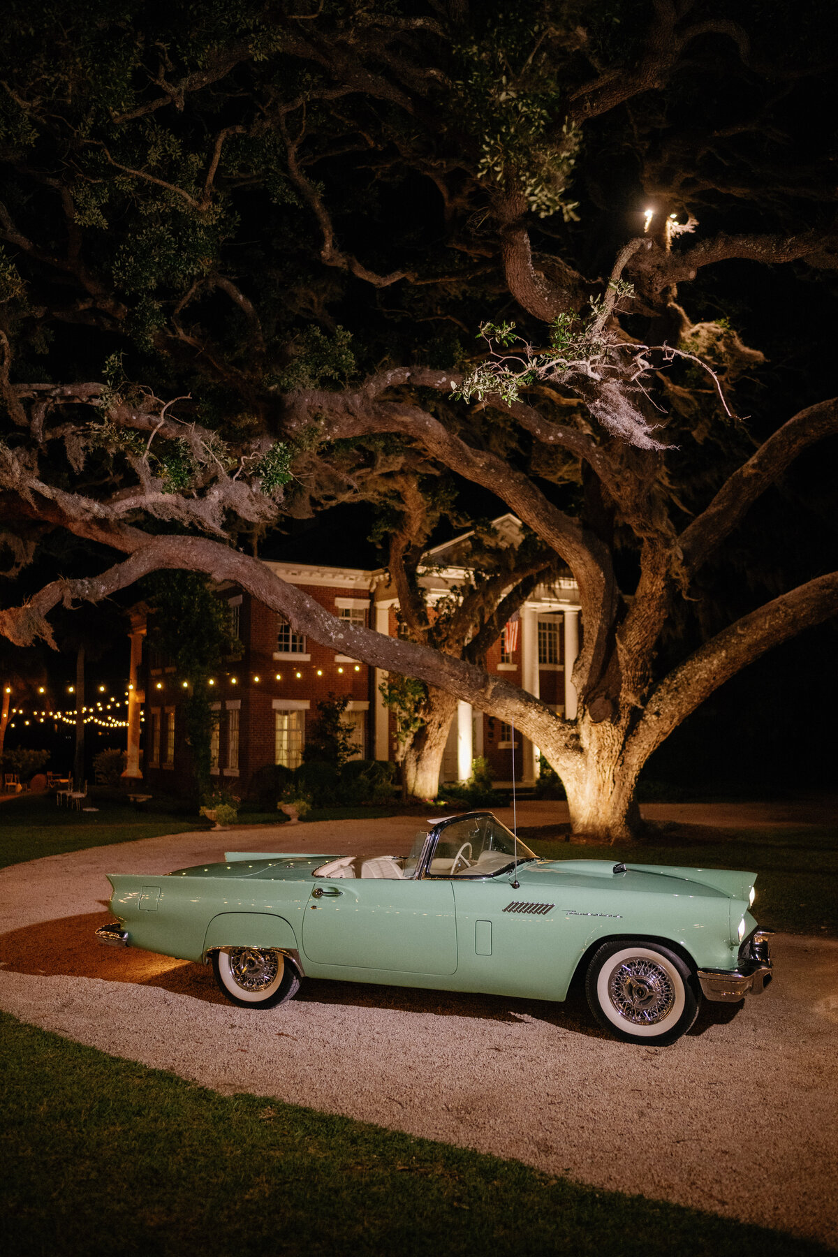 bay preserve sarasota southwest florida destination wedding photographer-87