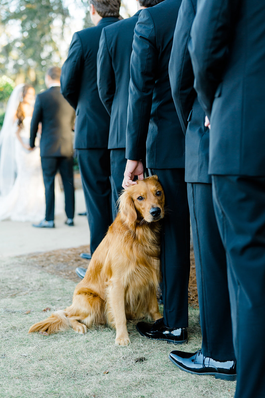 Charleston_Boone_Hall_Wedding__kailee_dimeglio_photography-663