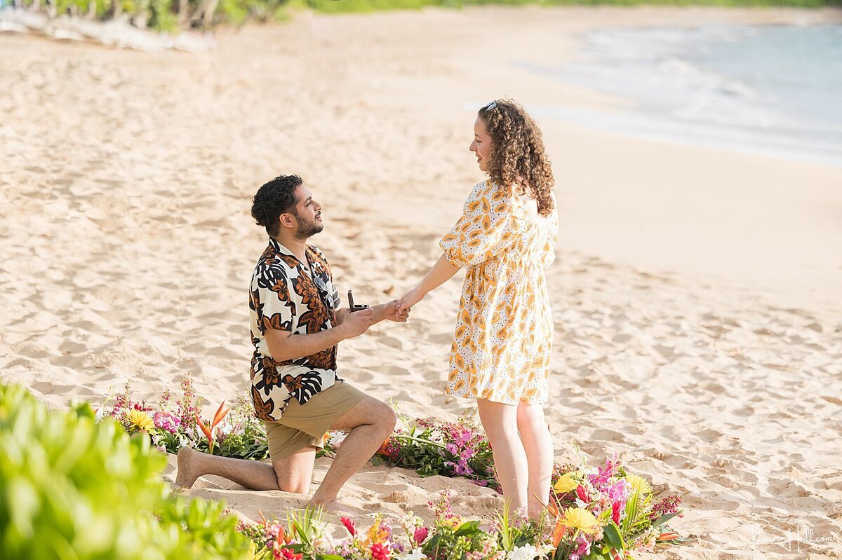 Hawaii proposal