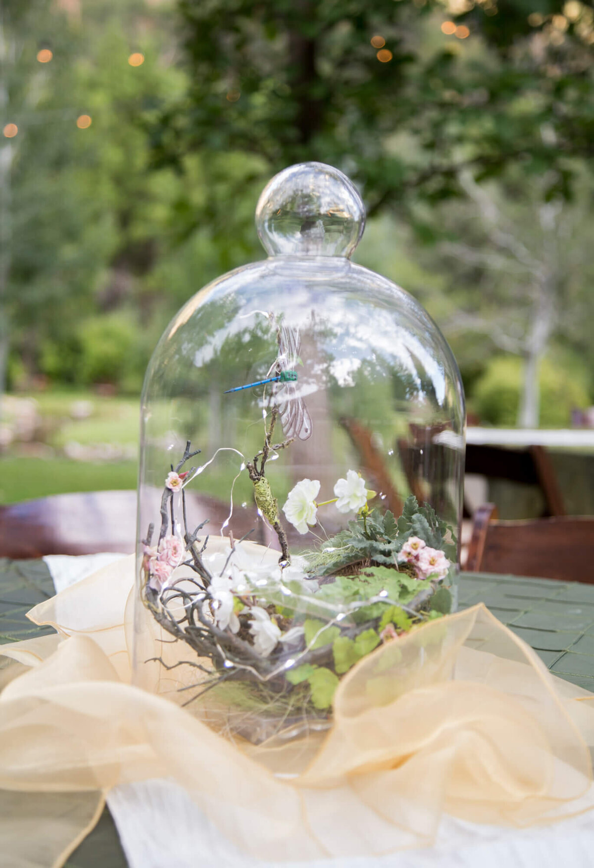 a birds nest and dragonfly in a glass jar for a whimsical wedding in the mountains