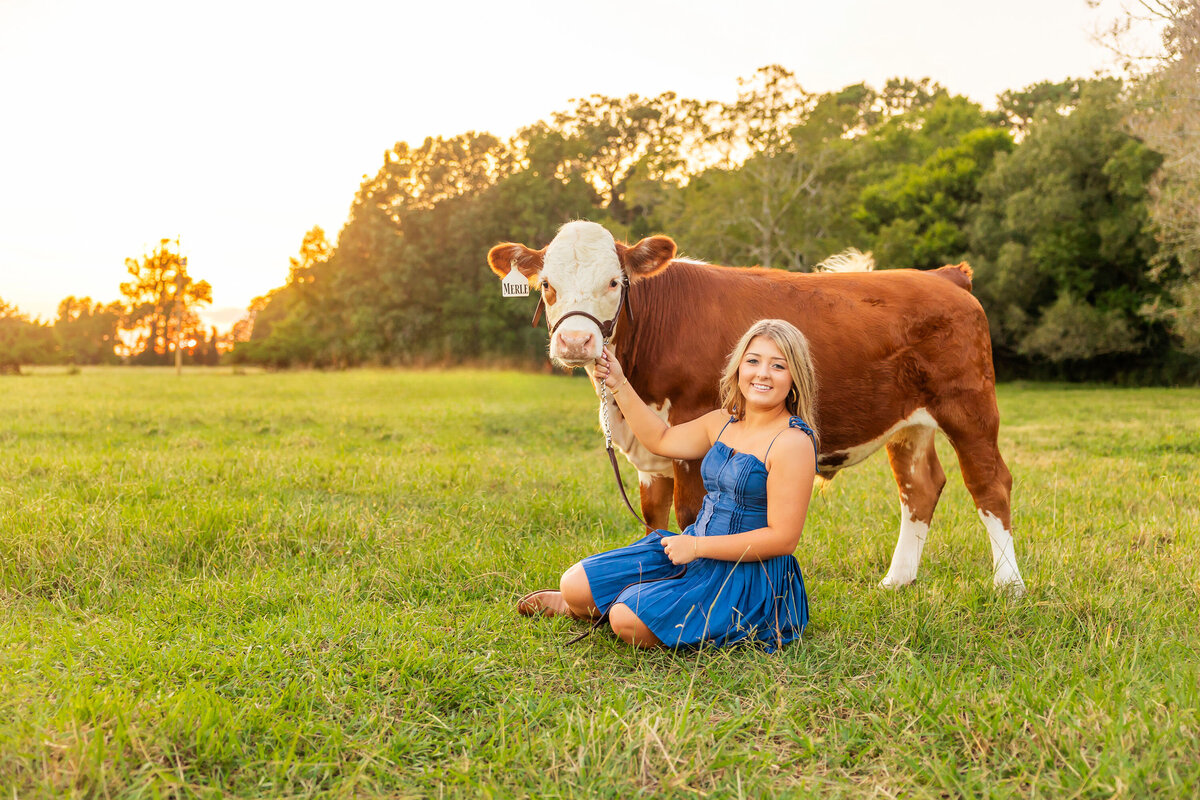 senior session with cow