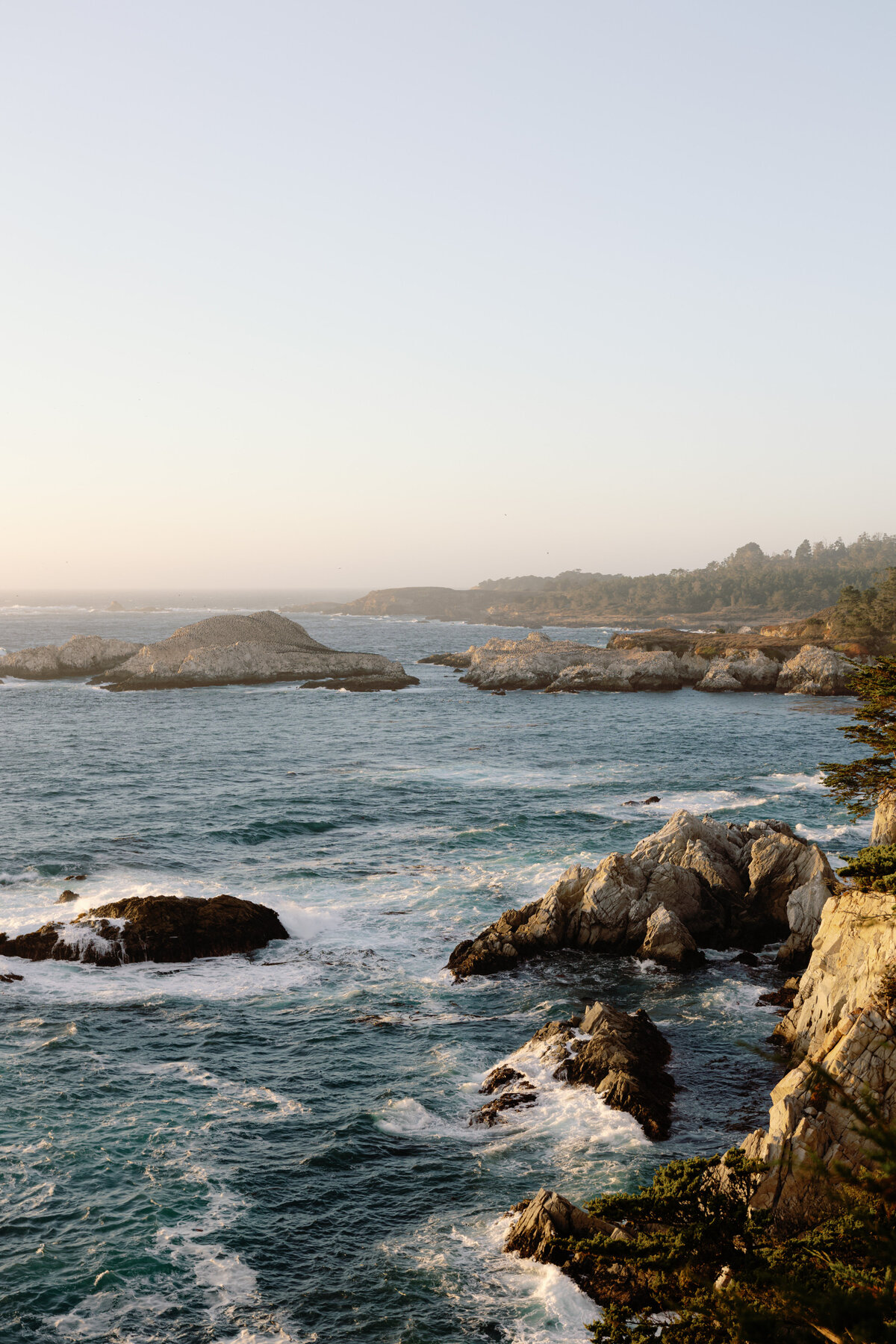 StonePine_Niki Rhodes Photo-913