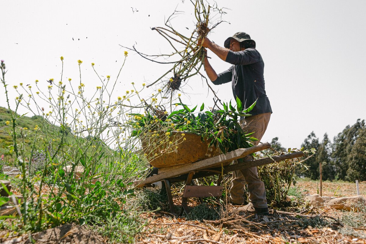 The-Ripe-Org-Farm-Ventura-California-Santa-Paula-Non-Profit-0048