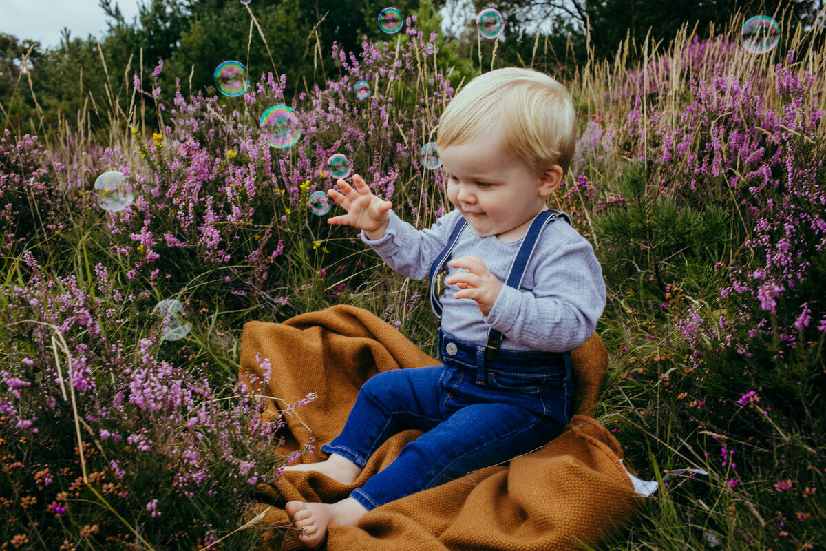 Chobham common is one of the best locations for family mini shoots, the colours of the wild plants are amazing