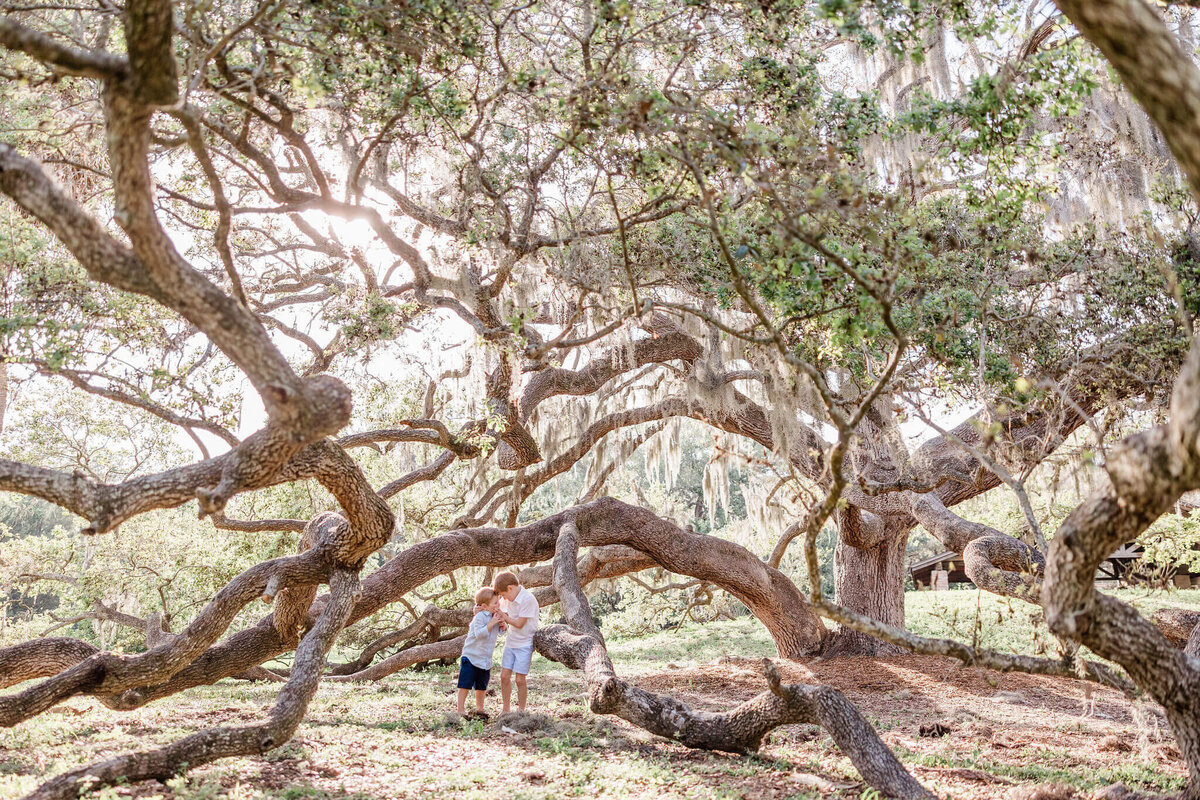 AptBPhoto_Adkins-9