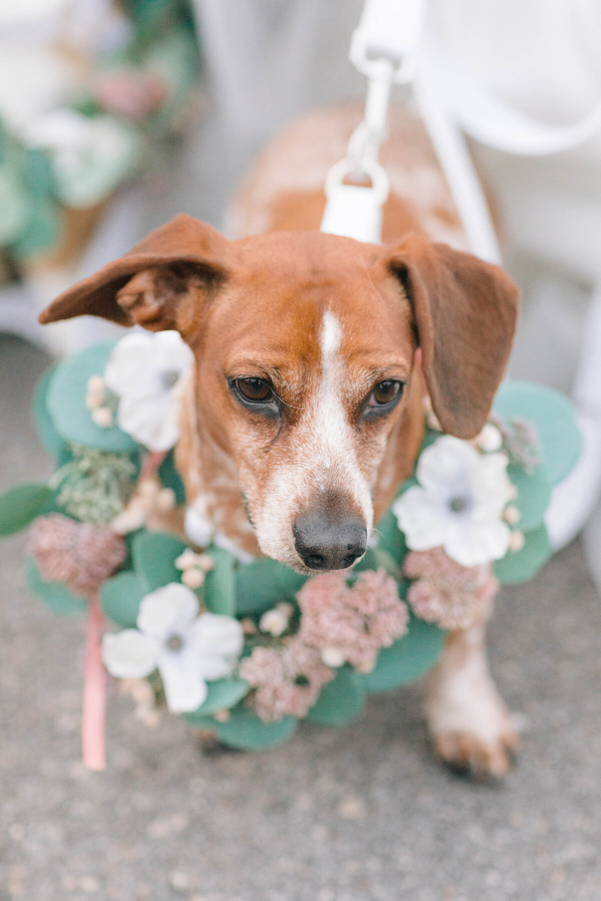 Broussard_Wedding106