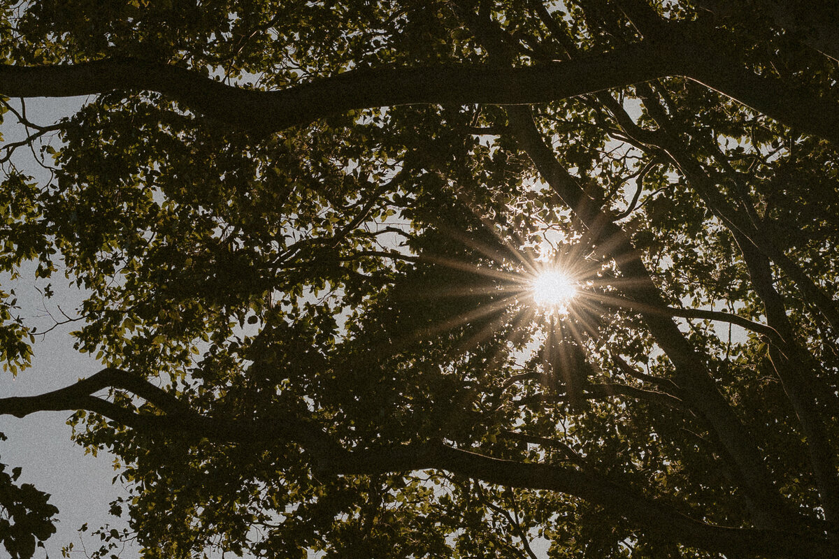 ankebi-photography-1