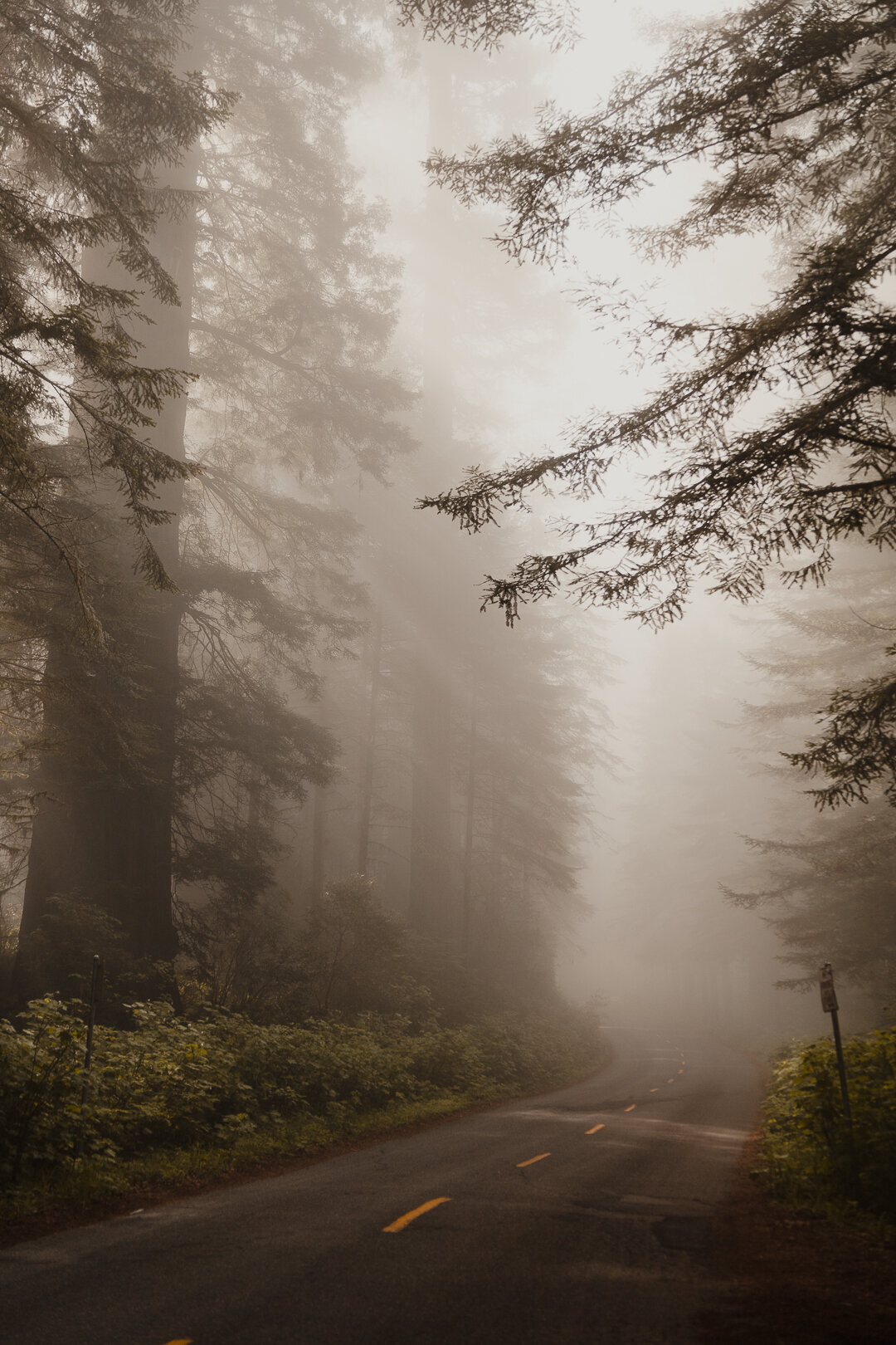 California-119