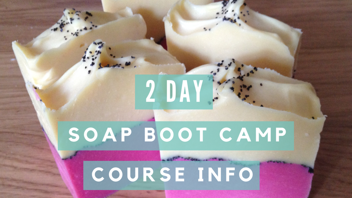 Soap Boot Camp 2 Day Course