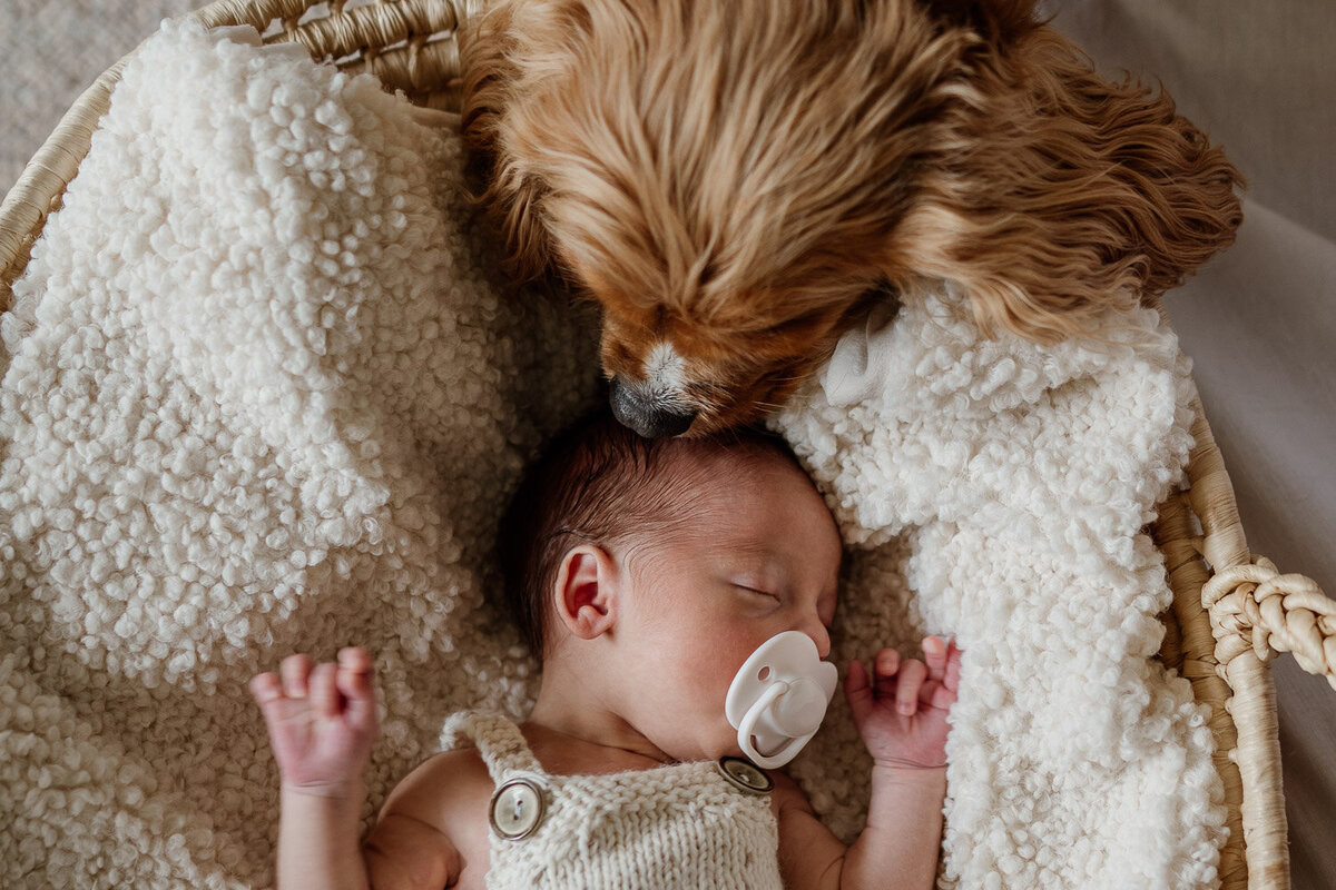 Newborn-photography-sydney-000-11