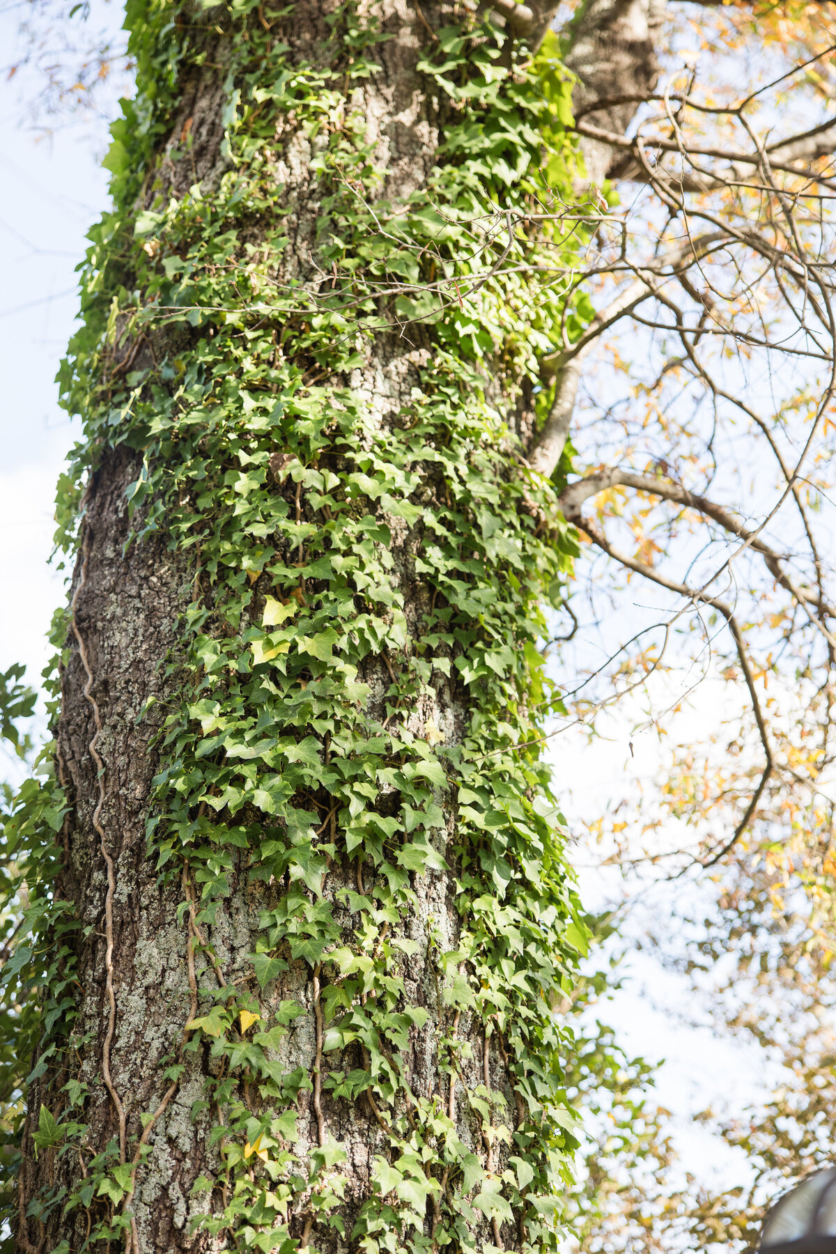 111925_GARDENVENUE_WEBSITEPHOTOS-67