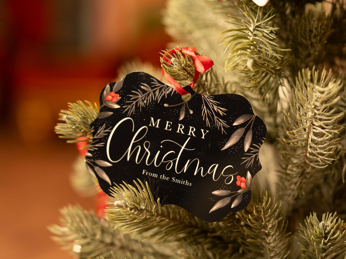 SteinArtStudio 2024-09-11 Christmas products-7