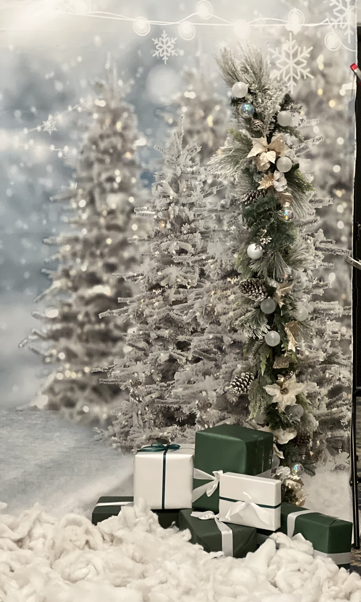 backdrop closeup