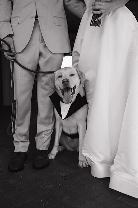 Florida Wedding Photographer