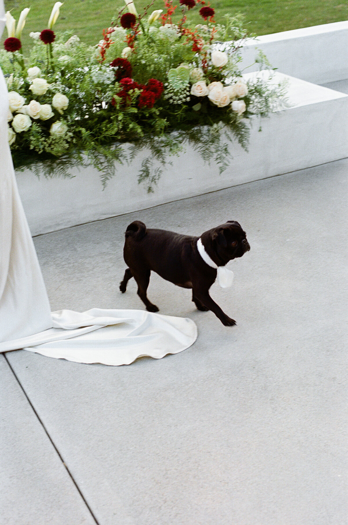 MaddieWesten-crystalkphotos-Film-8