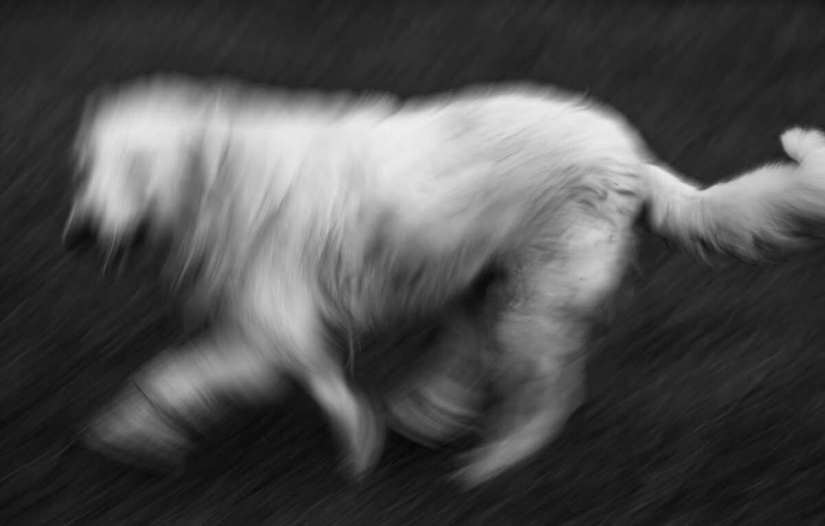 Broadwell_InMotion_Photography