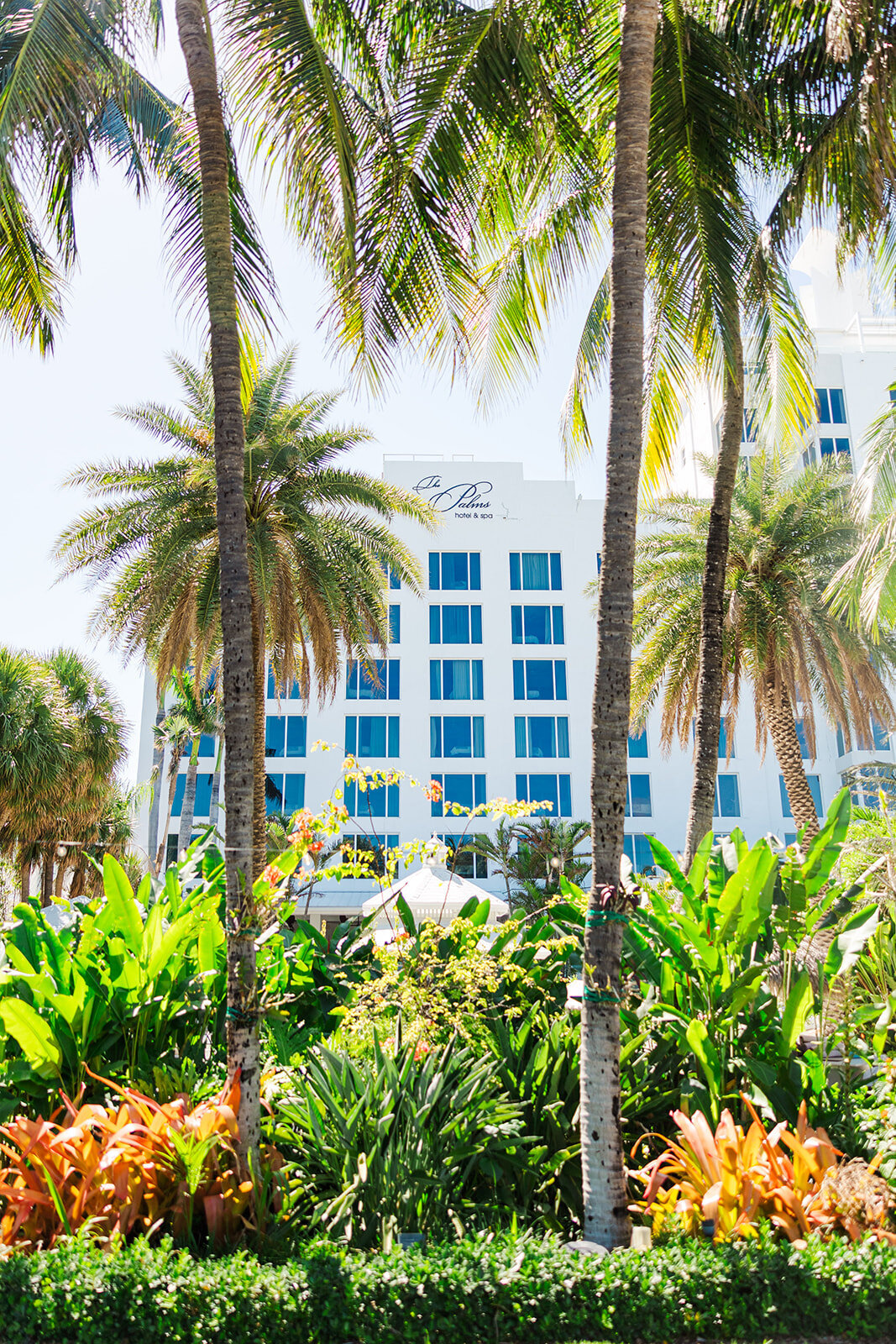 the-palms-hotel-miami-wedding-1