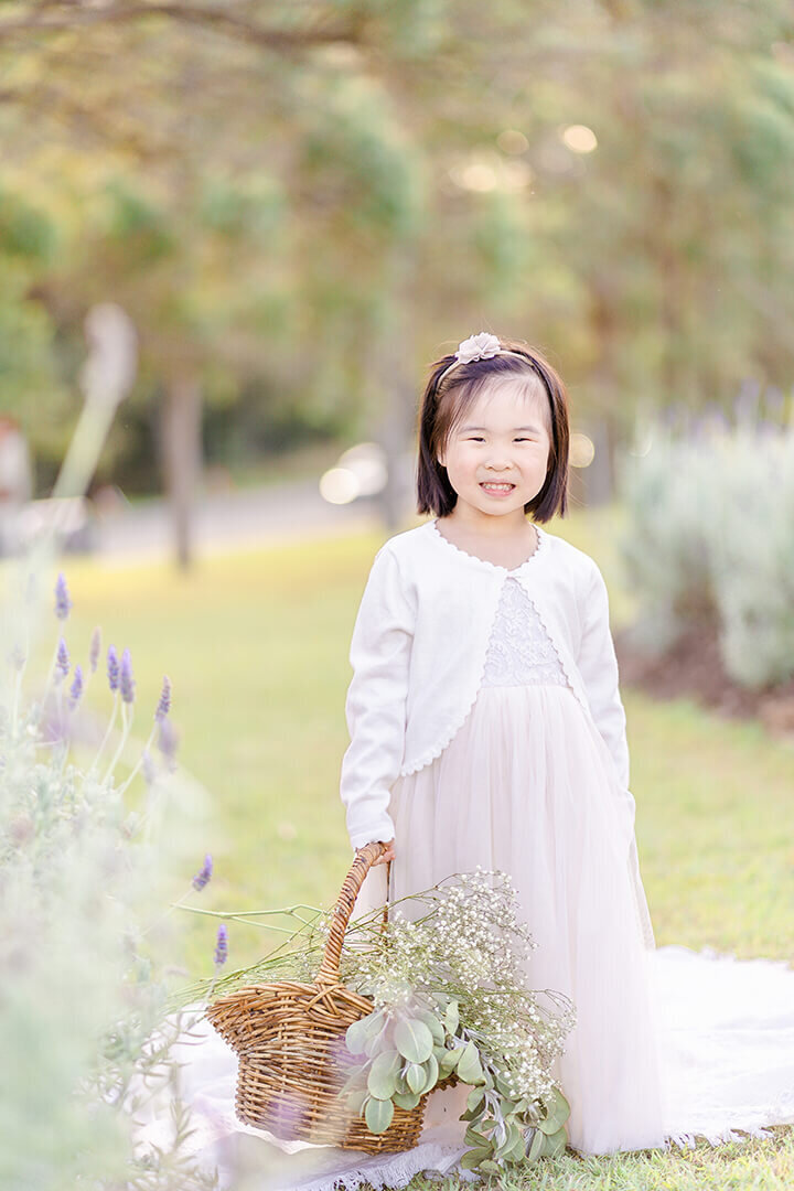 Flower girl looking for flowers in a field of lavenders with mum and dad in Brisbane.