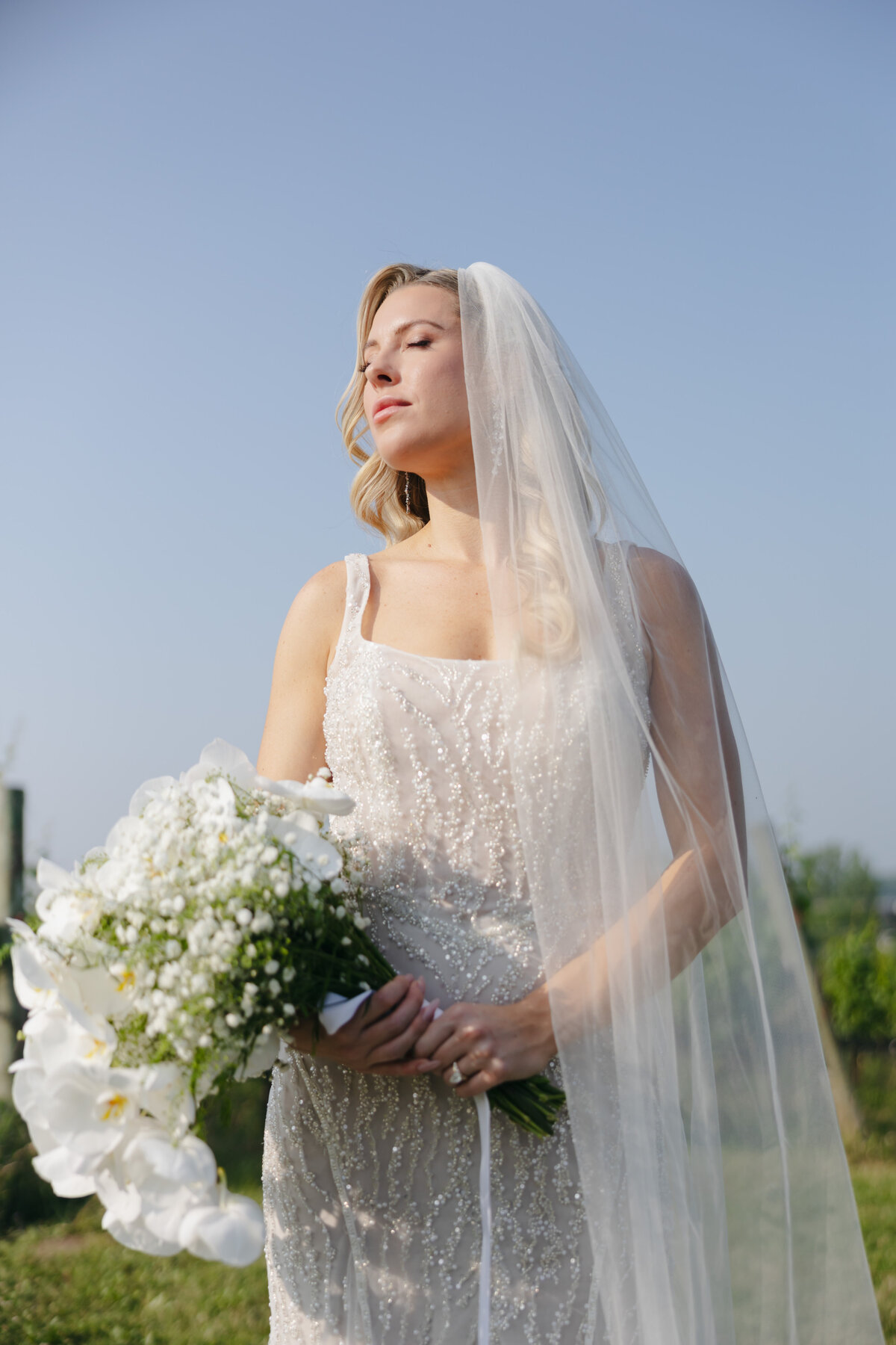 Luxury Wedding at Ravine Vineyard in Niagara-On-The-Lake – Editorial Photography by Cacie Carroll Photograph | West Coast and Destination Editorial Wedding Photographer