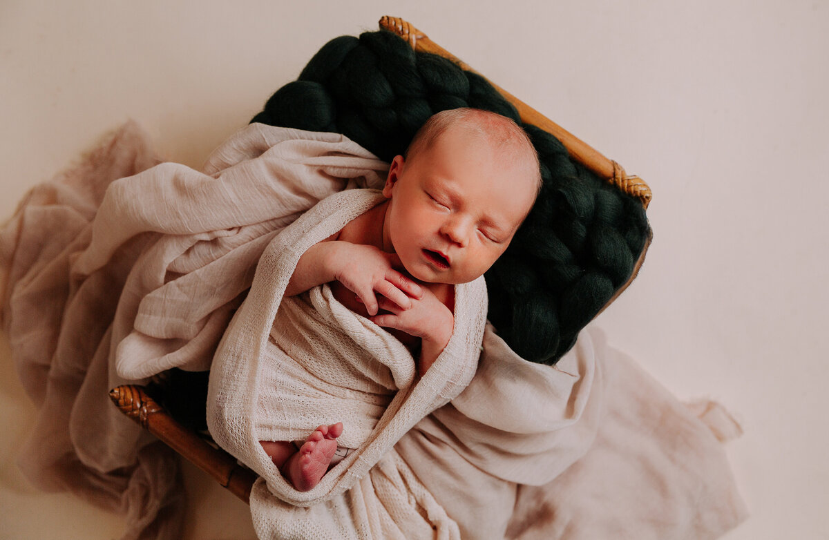 longmont-newborn-photographer (7)