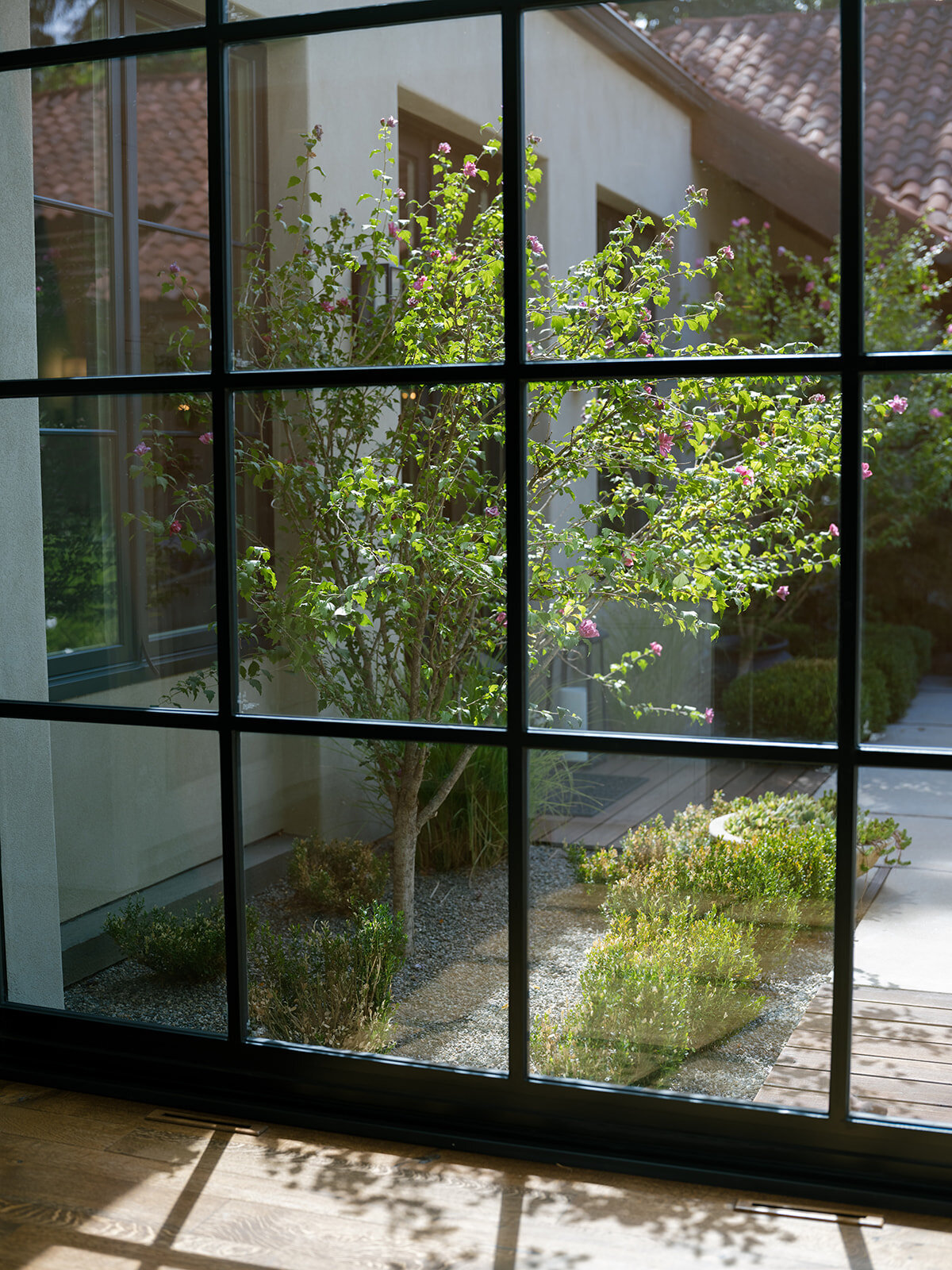 Alycia and Jonathan-Carrie King Photographer-3_websize-2