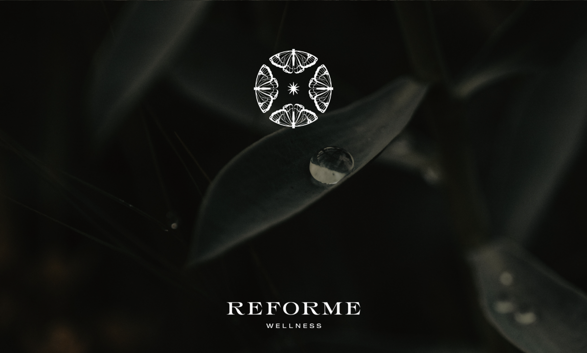 Reforme - Mystical Semi Custom Brand Template by Sarah Ann Design - Horizontal - 5