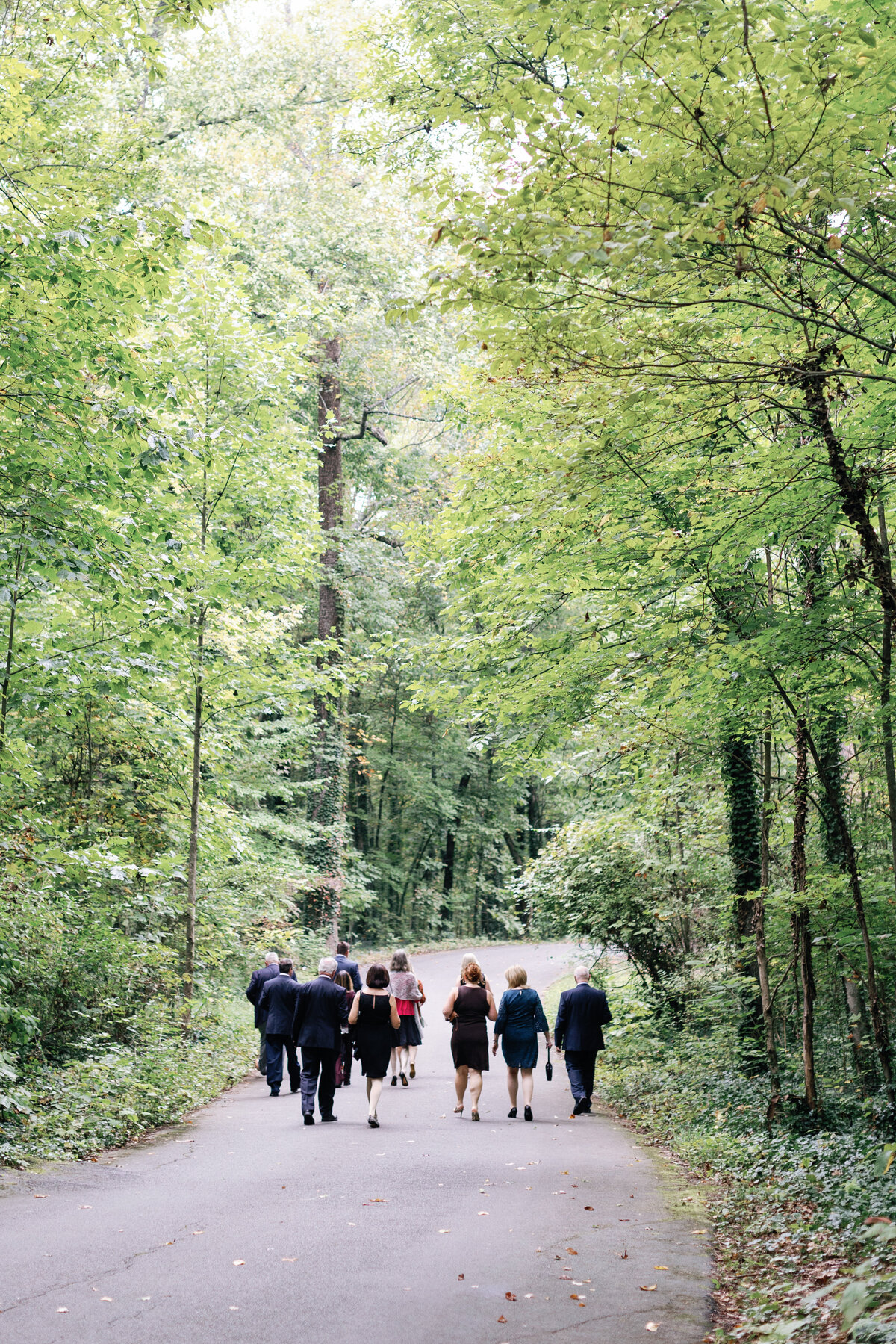 guests-walking-to-ceremony