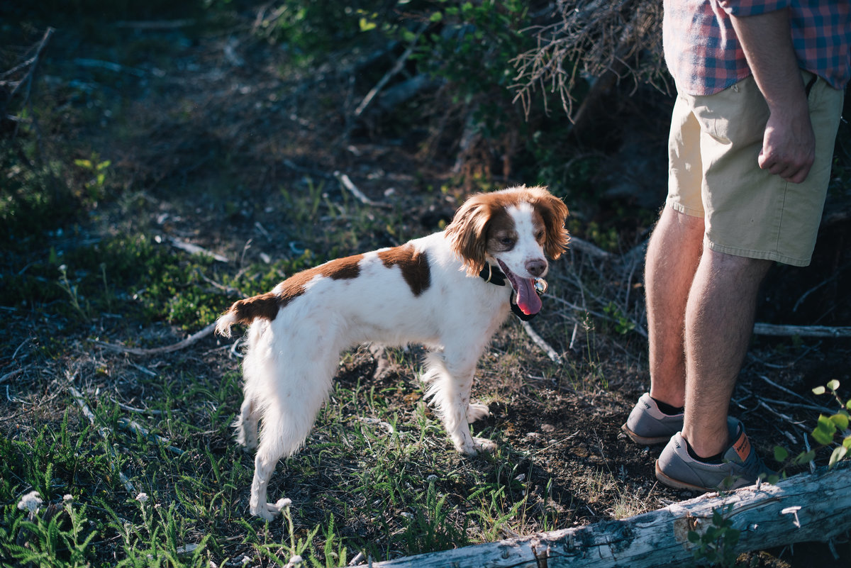 001_Erica Rose Photography_Anchorage Engagement Photographer_Featured