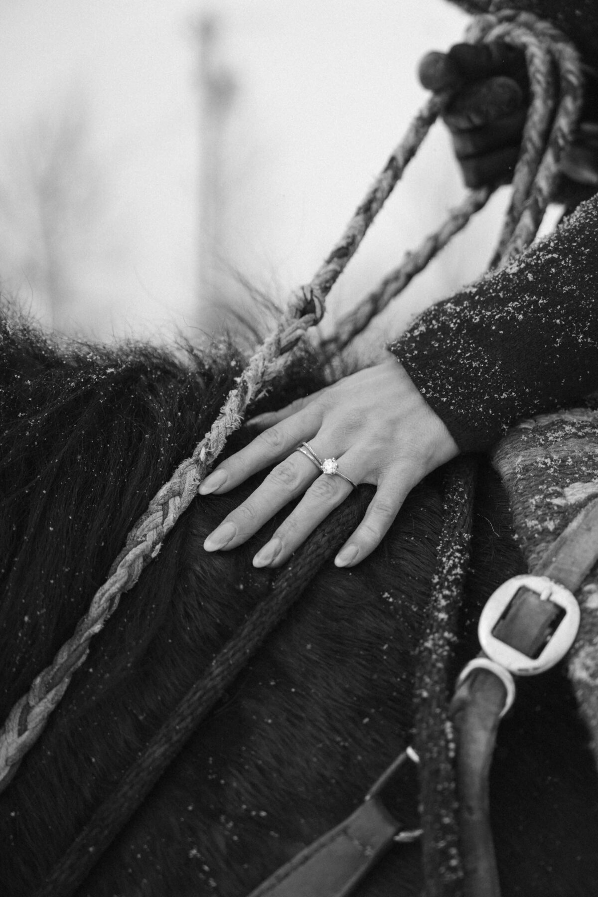 estes-park-proposal-photography-6