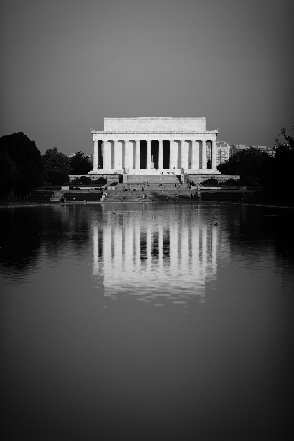 0002_SO1D8574