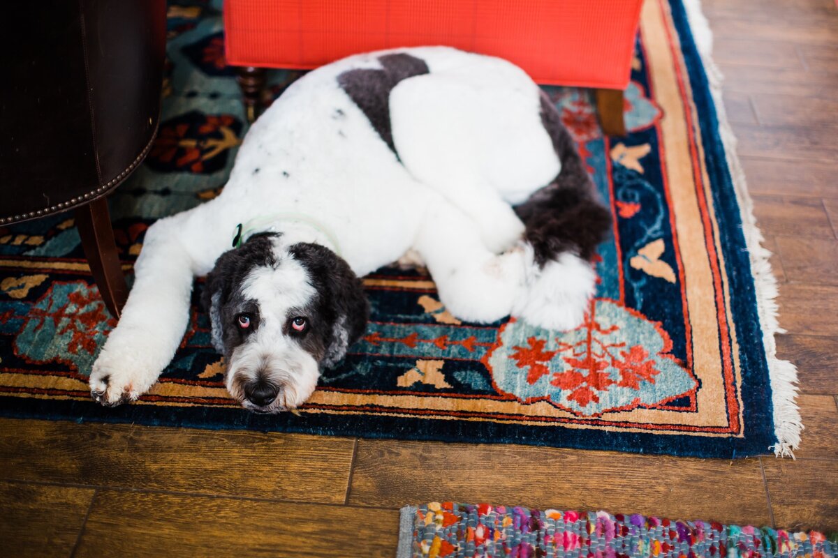 AbieLivesayPhotography-PittsburghWeddingPhotographer-DuquesneClub-AlexandraColin-87