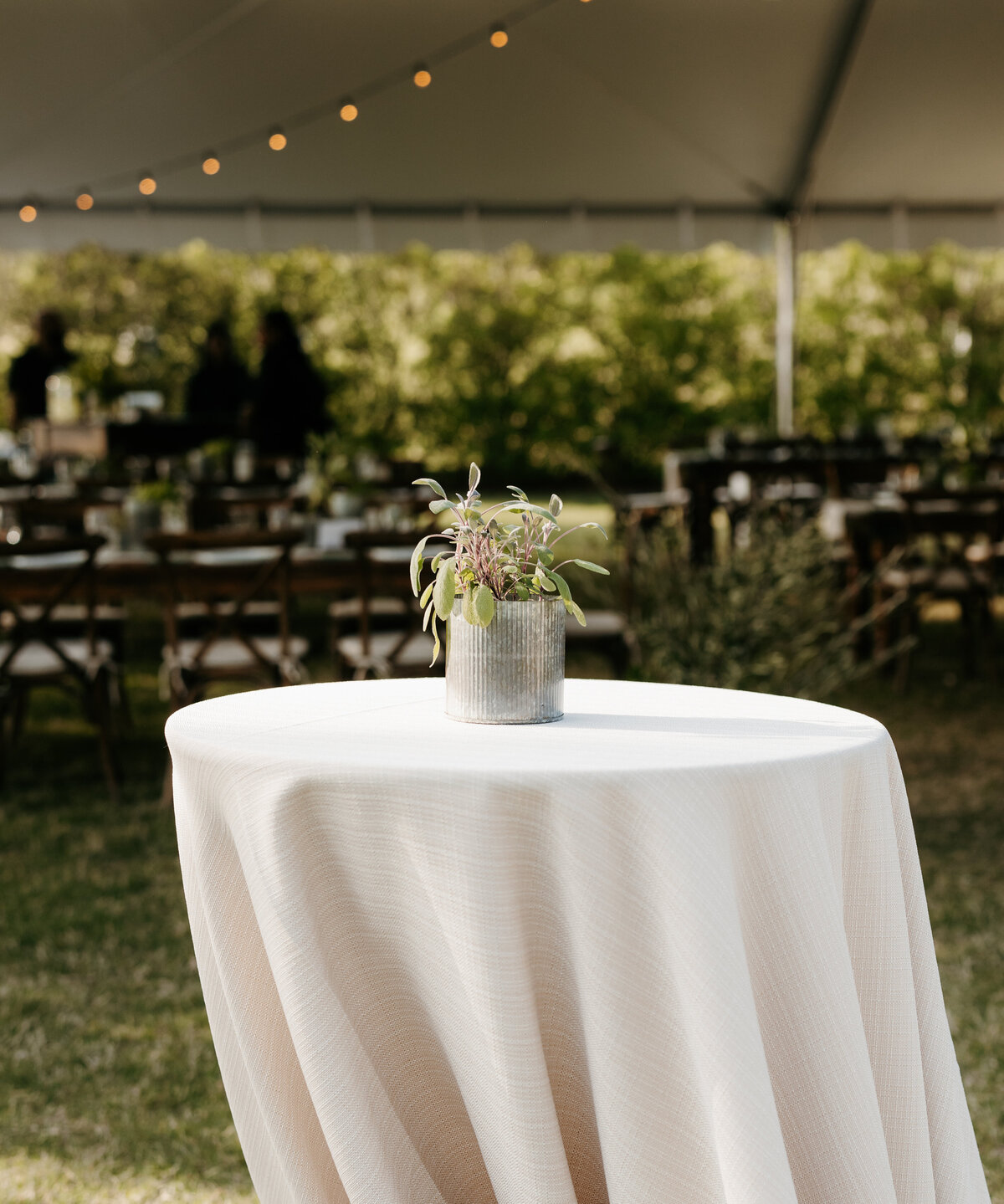 garden party cocktails