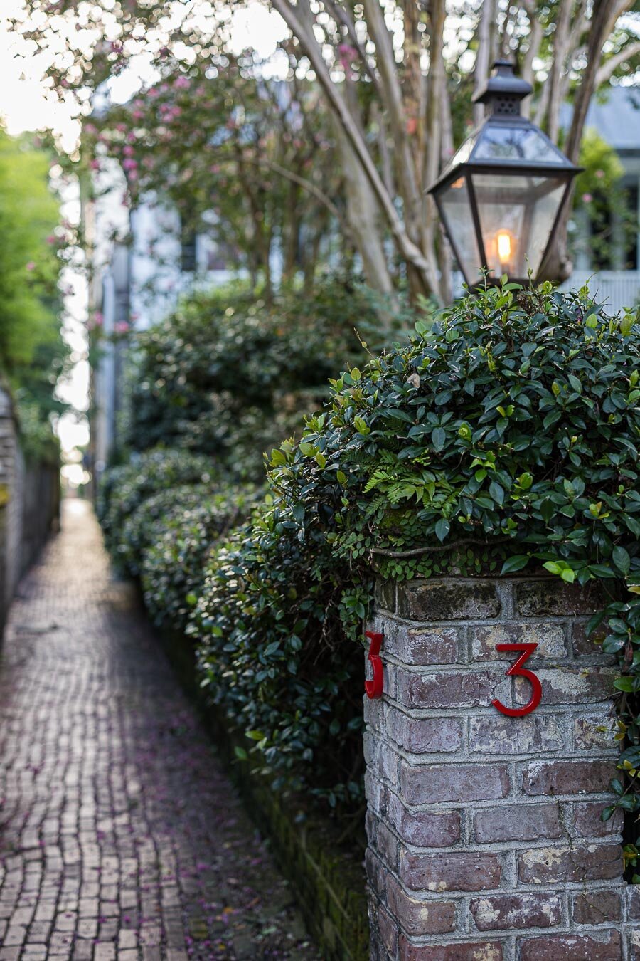 charleston-alley-3-11151