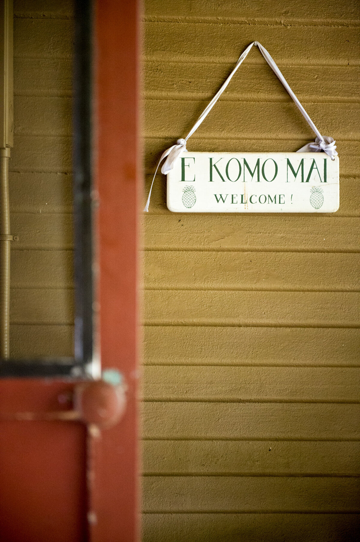 Olowalu-Plantation-House-classic-hawaii-aesthetic-wedding-photography-1