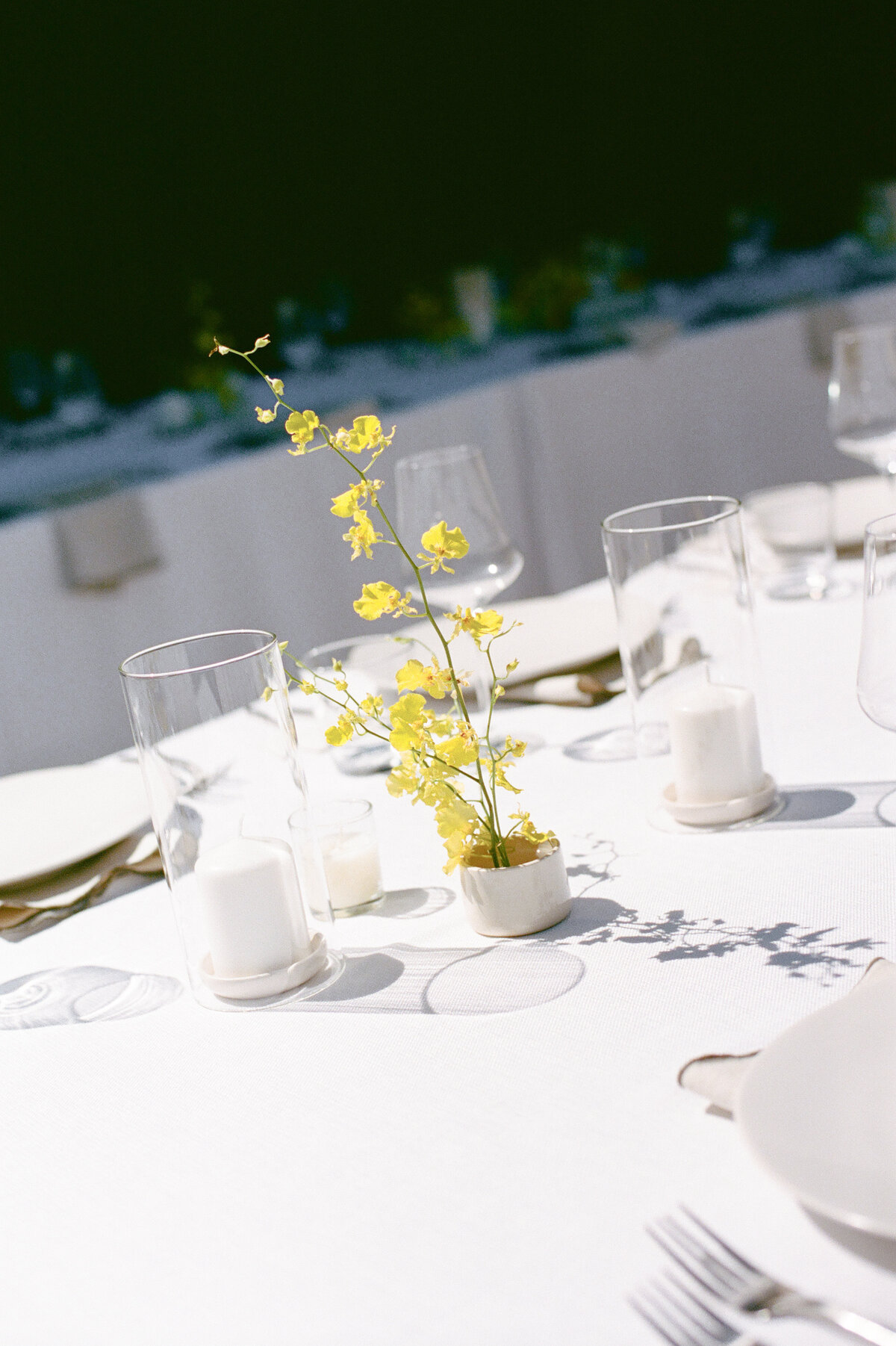 furioso-vineyard-wedding-f-221